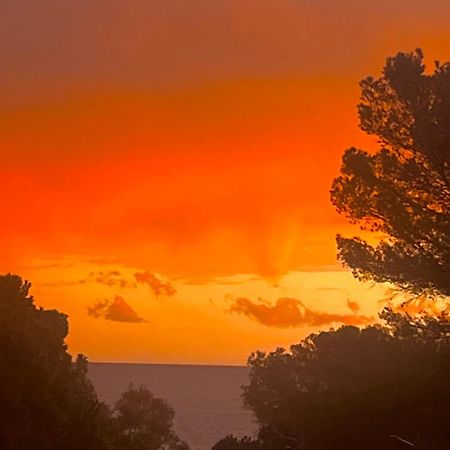 Maison Classee Sur Le Golfe De St Tropez Сен-Тропе Екстер'єр фото